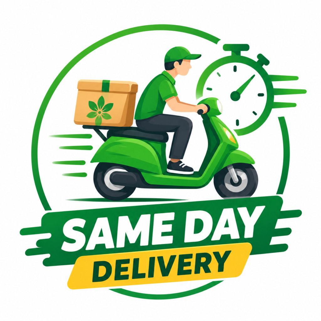 same day delivery