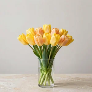 Sunlit Tulip Bunch